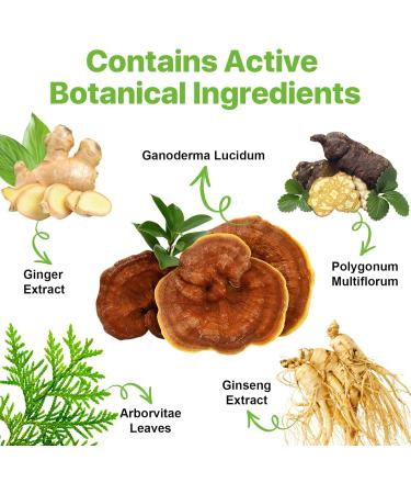 CCKULOOB Hair dye black hair color shampoo 3in1 hair color shampoo with herbal extracts natural coverage of gray hair Hair Color shampoo for dry hair long lasting 500 ml chestnut brown - Buy Online on GoSupps.com