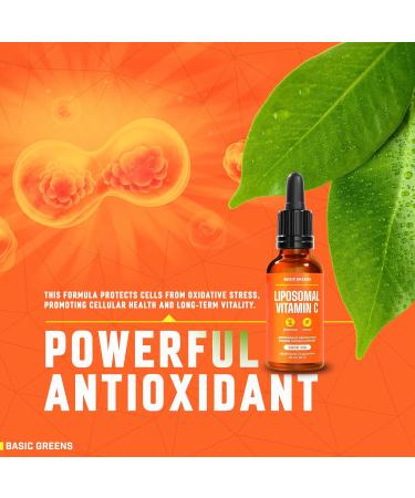 Liposomal Vitamin C Liquid 6000mg High Absorption Liquid C Supplement for Immune Support Antioxidant & Skin Health Non-GMO Vegan Gentle Formula 2 fl oz 2 Fl Oz (Pack of 1) - Buy Online on GoSupps.com