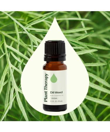 Plant Therapy Dill Weed Essential Oil 10 mL (1/3 oz) 100% Pure Undiluted Therapeutic Grade 0.34 Fl Oz (Pack of 1) - Buy Online on GoSupps.com