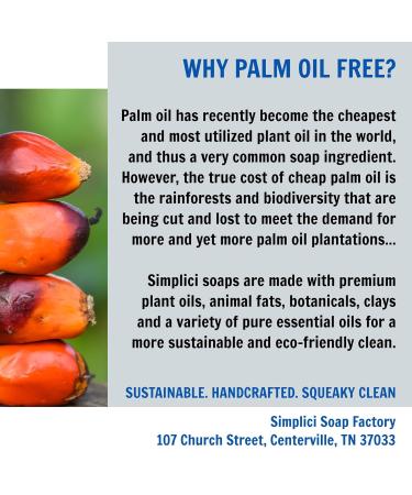 Cinnamon Orange Natural Soap | 6 Bar Value Bag | Palm-Free | Pure Essential Oils - Buy Internationally - Buy Online on GoSupps.com