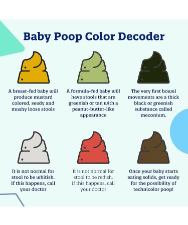 Enfamil Reguline Baby Formula with Omega-3 DHA & Probiotics | Soft Stools & Immune Support | 19.5 oz (Pack of 4) - Buy Online on GoSupps.com