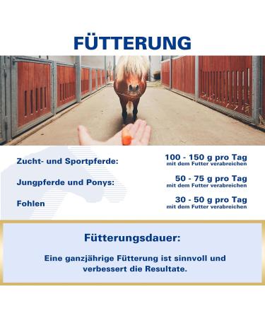 Equipur Organ Powder 3 kg - Buy Online on GoSupps.com