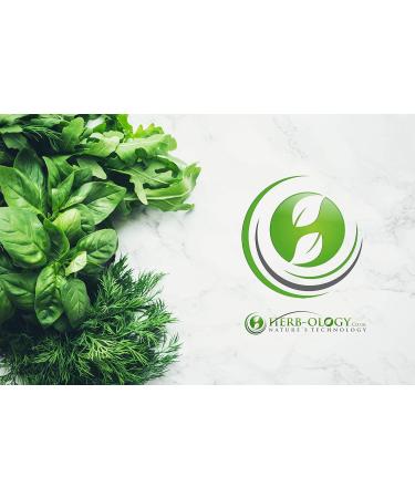 Herb-Ology N-Acetyl Cysteine (NAC) Supplement - 60 Vegetarian Capsules | 750mg per Capsule | Made in UK - Free from Fillers | NAC Supplements for Health - 60 count (1 Pack) - Buy Online on GoSupps.com