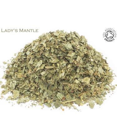 Organic Lady's Mantle Pure Herbal Infusion (25 Unbleached Tea Bags - 50g) - Buy Online on GoSupps.com