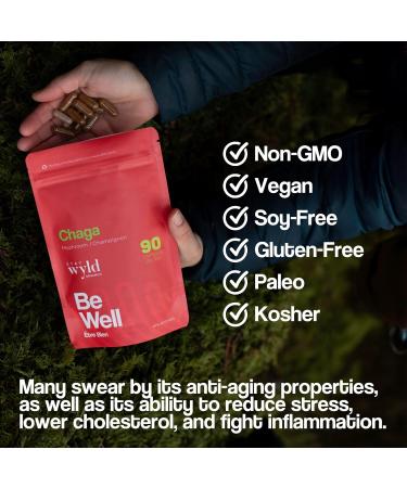 Stay Wyld Organics - Chaga Mushroom Supplement - 100% Canadian Mushroom Organic Chaga Capsules Supplements for Natural Cholesterol Level and Immune Support Non-GMO 90 Capsules Pouch - Buy Online on GoSupps.com