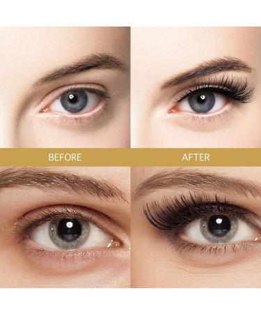 VASSOUL Dual Magnetic Half Lash Eyelashes | Ultra Thin 0.2mm Magnet | Lightweight & Reusable 3D Lashes with Applicator - Buy Online on GoSupps.com