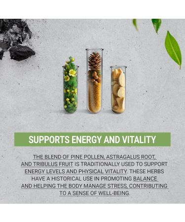 Secrets of the Tribe Testosterone Support Drops | Herbal Liquid Extract for Male Hormone Balance | Alcohol-Free | 4 fl oz - Buy Online on GoSupps.com