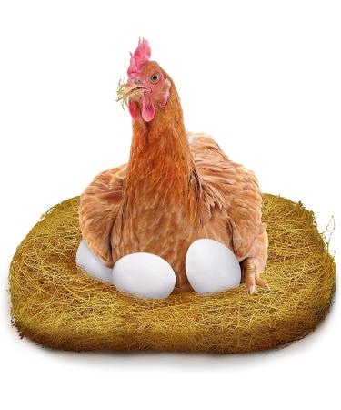 SunGrow Coconut Husk Fiber Bird Nesting Material 3 oz - Ideal for Mourning and Diamond Doves, Hamsters, Gerbils, Chinchillas - Pet Cage and Small Animal Bedding - Buy Online on GoSupps.com