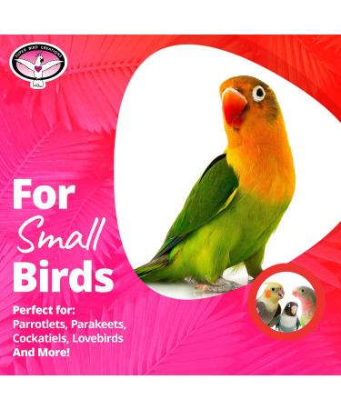 Super Bird Creations SB541 Crinkle Little Star Bird Toy - Small Bird Size 6 x 2 - Varies - Buy Online on GoSupps.com