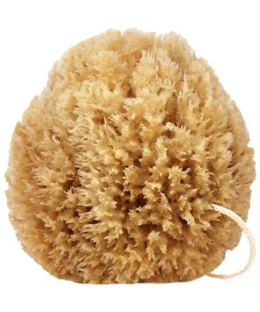 Givereldi Power Exfoliator Natural Sea Sponge - Strong Durable Unbleached Pouf and Scrub with Rope - 100% Organic & Hypoallergenic - Adult Bath Shower Exfoliating Art Pets Gift (Small) 11 cm
