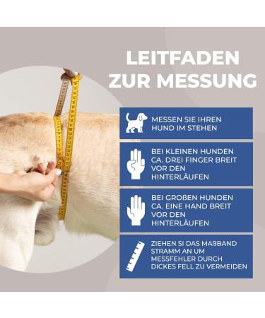 Sailing Trousers for Dogs 2.0 | High-Quality Neoprene Male Diapers - XS Gray - Optimal Air Exchange - Buy Online on GoSupps.com