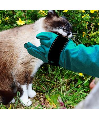 Protective Gloves for Pets - Cut-proof Gloves for Handling Animals Gloves for Handling Pets Dog Protection Gloves with Leather Padding Animal Bite Resistant Care Han 60 Cm-green - Buy Online on GoSupps.com