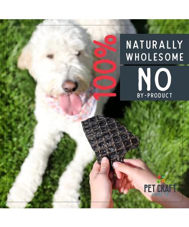 Natural Grain-Free Salmon & Liver Dog Treats - Training Treats for Puppies | Pet Craft Supply - Buy Online on GoSupps.com