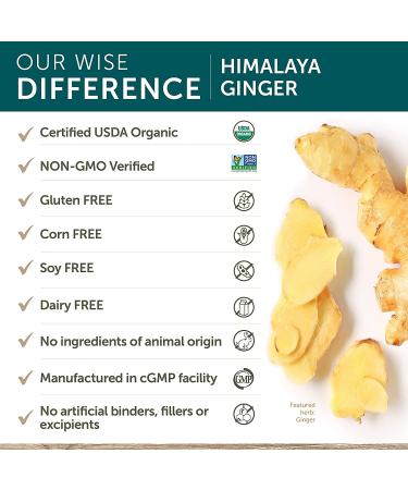 Himalaya Organic Ginger Digestive Relief Supplement - 820mg 60 Caplets - 2 Month Supply | Relieve Nausea, Gas, Upset Stomach - Buy Online on GoSupps.com