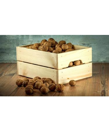 Anna and Sarah Jumbo Walnuts in Shell - Fresh Buttery Taste - California Chandler - Natural Shells - 5.5 lbs - Buy Online on GoSupps.com