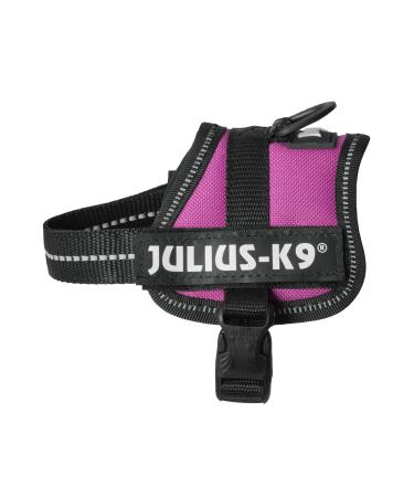 K9 Powerharness Size: 3XS/Baby 1 Dark Pink 3XS/Baby 1 Dark Pink - Buy Online on GoSupps.com