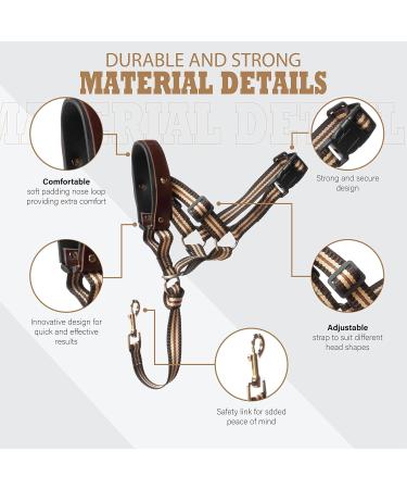 Alpha Boy Dog Training Collar - Comfortable Leather Harness for All Breeds Easy to Use Quick Lock Buckle (XXL) - Buy Online on GoSupps.com