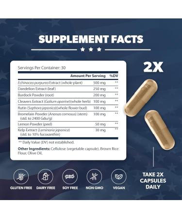 AMERICAN VITALITY LymphaVive and Brain Formula Bundle - Buy Online on GoSupps.com