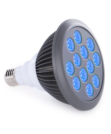 Blue Light Therapy Bulb by Hooga. Power Cord Included. 415 nm Wavelength. 12 LEDs. High Irradiance, Treatment for Acne and Sun Damage. Can Improve Skin Texture and Tigthen Skin.