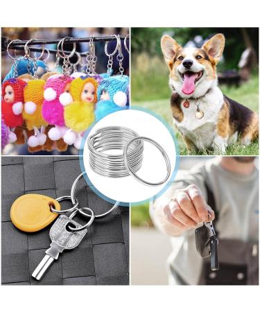 PAXCOO 200Pcs Split Key Rings Bulk for Keychain and Crafts  1 inch (25mm) - Buy Online on GoSupps.com