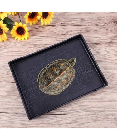 Reptile Food and Water Bowl-Large Reptile Water Dish Also Fit for Bath- Shallow Water Dish for Reptiles- Large Size (Black) Size 1 - Buy Online on GoSupps.com