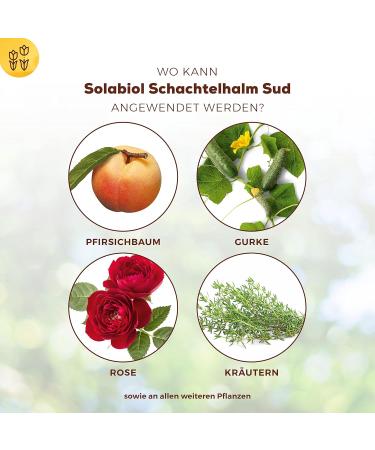 Solabiol Schachtelhalm Sud - Biological Plant Strengthener for Mushrooms | 1L Eco-Friendly Solution - Buy Online on GoSupps.com