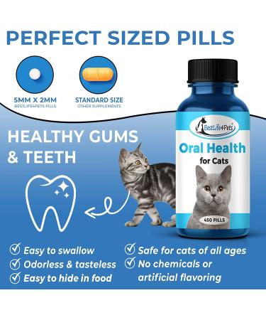 BestLife4Pets Oral Health for Cats - Dental Care Supplement for Stomatitis, Gingivitis & Gum Disease - Anti-inflammatory Pain Relief - 450ct Easy-to-Use Pills - Cat Supplies - Buy Online on GoSupps.com