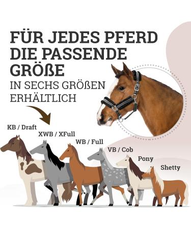 Esposita Champion Edition Pony Halter - Soft Fluffy Synthetic Fur Black/Silver - Buy Online on GoSupps.com