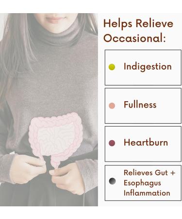 Effective Heartburn & Acid Indigestion Relief Drops | Safe Antacid Alternative | Magnesium Citrate & Natural Ingredients | 31ct - Buy Online on GoSupps.com