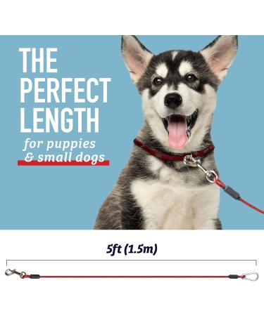 Leashboss Dog and Puppy Training Lead - 5 Foot Classic Red - Perfect for Obedience & Control - Buy Online on GoSupps.com