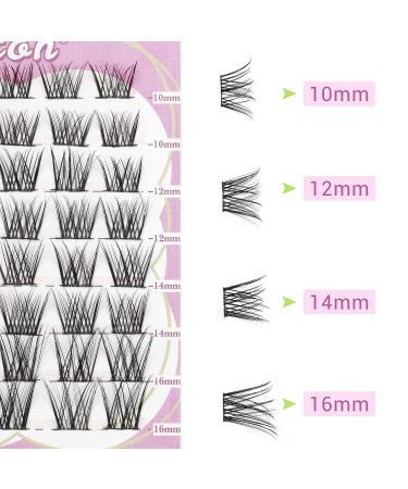 Cat Eye Cluster Lashes C Curl | 3D Natural Look DIY Eyelash Extensions - 56 Pcs Soft & Comfortable Individual Lashes (A2-10-16mix) - Buy Online on GoSupps.com