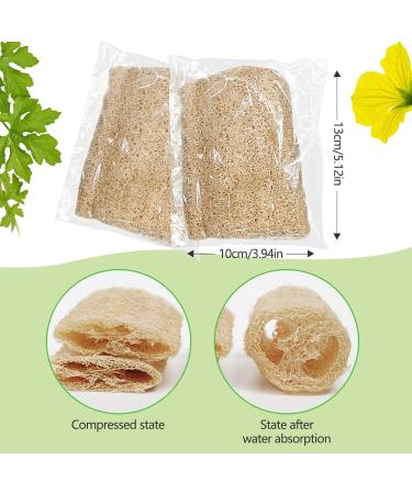 Buy 10 Pcs Kheoxusa Individually Wrapped Natural Loofahs - Exfoliating Body Scrubbers for Travel Bath Shower & Spa | Premium Luffa Sponge Pads - Buy Online on GoSupps.com