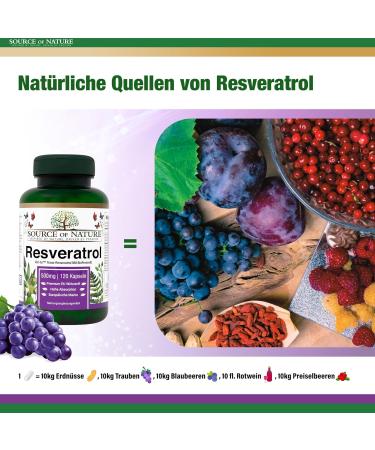 Source of Nature Trans-Resveratrol 500mg - 120 Vegan Capsules | High Dosage Antioxidant Protection | 98% Pure Active Ingredient | 4-Month Supply - Buy Online on GoSupps.com