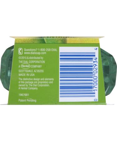 Dial Complete Antibacterial Foaming Hand Wash - Fresh Pear - 7.5 Ounce | Shop Internationally for Clean Hands & Fresh Scent - Buy Online on GoSupps.com