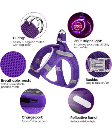 Buy PCEOTLLAR LED Dog Harness - Shining & Reflective Light-Up Harness for Small & Medium Dogs - Breathable & Charging - Purple - Buy Online on GoSupps.com