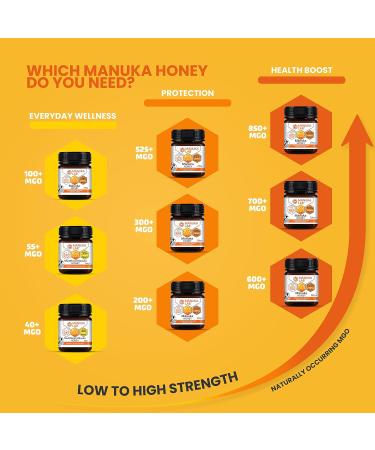 Manuka Lab Certified MGO 525+ Manuka Honey 250g - Powerful Antimicrobial for Wound Healing | Premium Quality from New Zealand - Buy Online on GoSupps.com