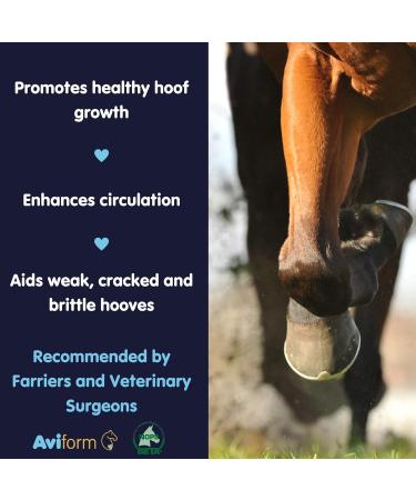 Aviform Biodura Hoof Supplement For Horses - Equine Hoof Care Strengthens and Repairs Horses Hooves - 1kg Compostable Bag - Buy Online on GoSupps.com