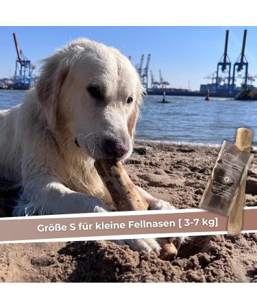 Zoys Coffee Wood Natural Chewing Bones for Dogs - Size S (3-7kg) - Caustab Tooth Cleaning & Dental Care - Durable Low-Ray Dog Accessory - 1 Piece - Buy Online on GoSupps.com