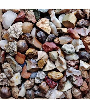 Natural Crystal Rough 100g Alxa Gobi Natural Agate Gobi Stone Fish Tank Stone Strange Stone Collection Stone Family Fish Tank Decoration Stone Random size 100g - Buy Online on GoSupps.com