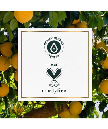 Herbal Essences Bio Renew White Grapefruit & Mosa Mint Naked Volume Shampoo & Conditioner Kit - 20.2 fl oz - For Fine Hair - Color Safe - Buy Online on GoSupps.com