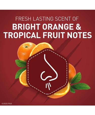 Old Spice Aluminum Free Body Spray for Men - Wolfthorn 5.1 Oz | Shop Internationally - Buy Online on GoSupps.com