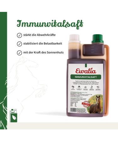 Ewalia Immune Juice Fortifying Food Supplement for Horses Promotes General Well-being Natural Support for Vitality and Resilience 100% Pure Natural 3 x 1 L - Buy Online on GoSupps.com