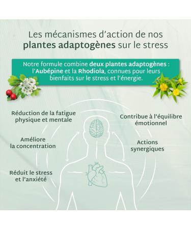 Mium Lab Anti-Stress Reduces Physical and Mental Fatigue - Nervous Balance - GABA + Adaptogenic Plants (Hawthorn & Rhodiola) + Vitamin B6 - Apple Flavor - 21 Day Care - Made in France - Buy Online on GoSupps.com