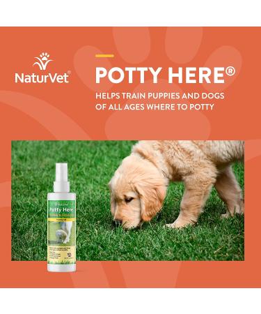 NaturVet Potty Here Training Aid Spray - 8 oz - Indoor & Outdoor Use - Train Puppies & Dogs Where to Potty - Buy Online on GoSupps.com