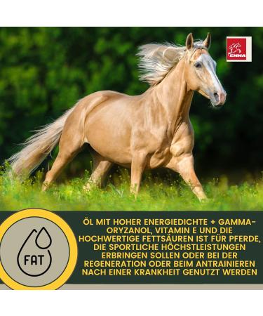 Rice Germ Oil Flax Oil 1L 30 ml for Horses Plus Vitamin E + Amino Acids Horse + Complex - Bodybuilding Horse Without Selenium Lysine Replenishing Food Supplement Horse Food - Buy Online on GoSupps.com