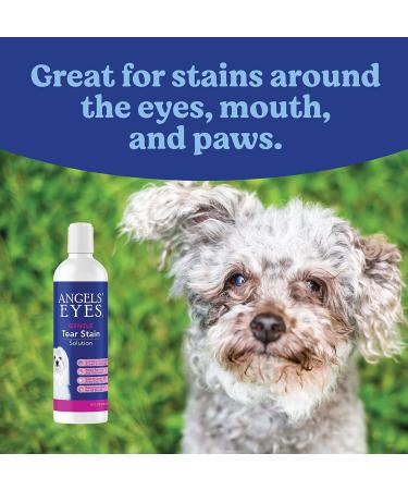 Angels Eyes Tear Stain Solution for Dogs and Cats | 8 oz Gentle Eye and Face Cleaner | Remove Discharge, Dirt, Tear Stains, and Mucus - Buy Online on GoSupps.com