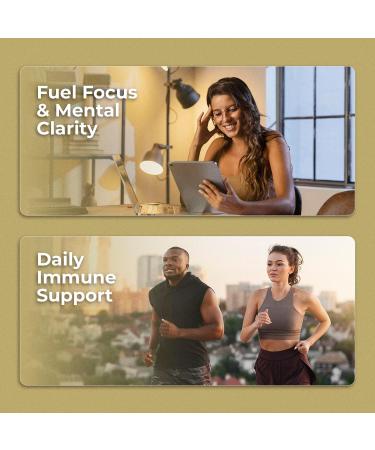 Organic Super Shrooms 6-in-1 Mushroom Supplement Energy, Memory, Focus & Brain Health Lion s Mane, Reishi, Chaga, Cordyceps & More Vegan, Non-GMO, Immune and Cognitive Support 30 Count 30 Count (Pack of 1) - Buy Online on GoSupps.com