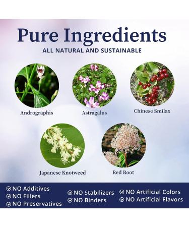 BioPure Quintessence Botanical Tincture - Immune Support with Astragalus & Japanese Knotweed - 4 fl oz - Buy Online on GoSupps.com
