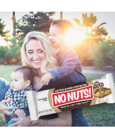 Nut-Free Vegan Chocolate Chip Protein Bars | Organic & Kosher | Non-GMO 12 Count Pack | Egg and Dairy-Free Dairy-Free Bars - Buy Online on GoSupps.com