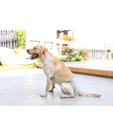 Petmia Washable Dog Diapers - Hygiene Underpants for Dogs in Heat 5 Sizes (XS-XL) - Beige XL 60-82cm - Buy Online on GoSupps.com